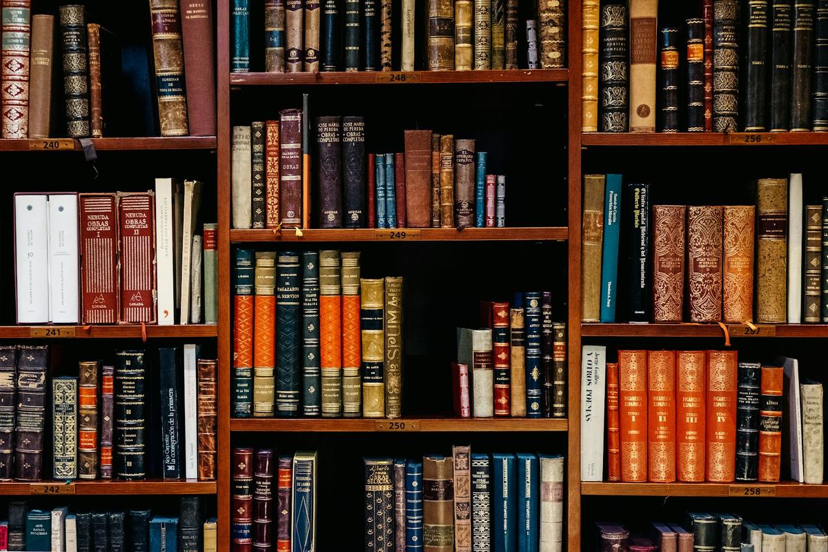 Executive reading room with strategic materials at ProfitMindAI Orchard Road studio